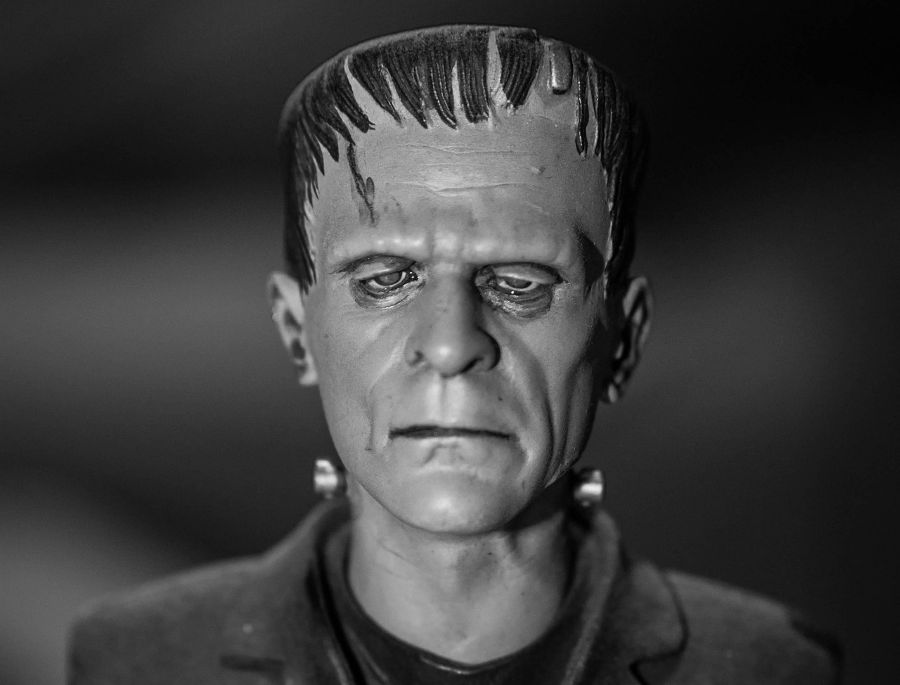 Frankenstein Monster