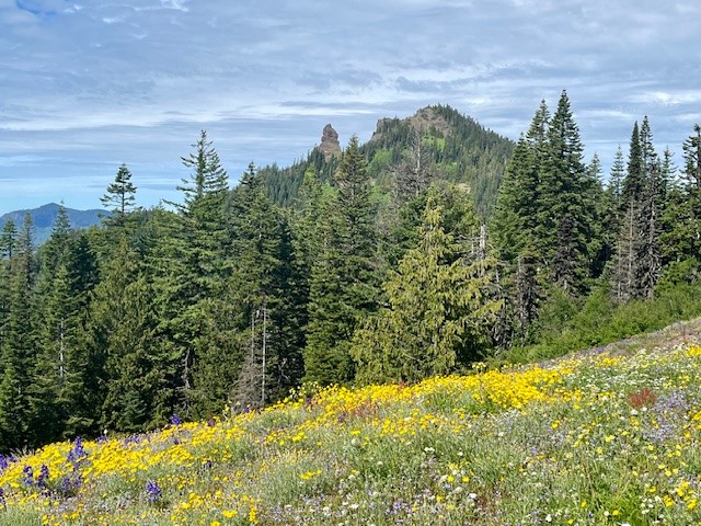 Iron Mountain