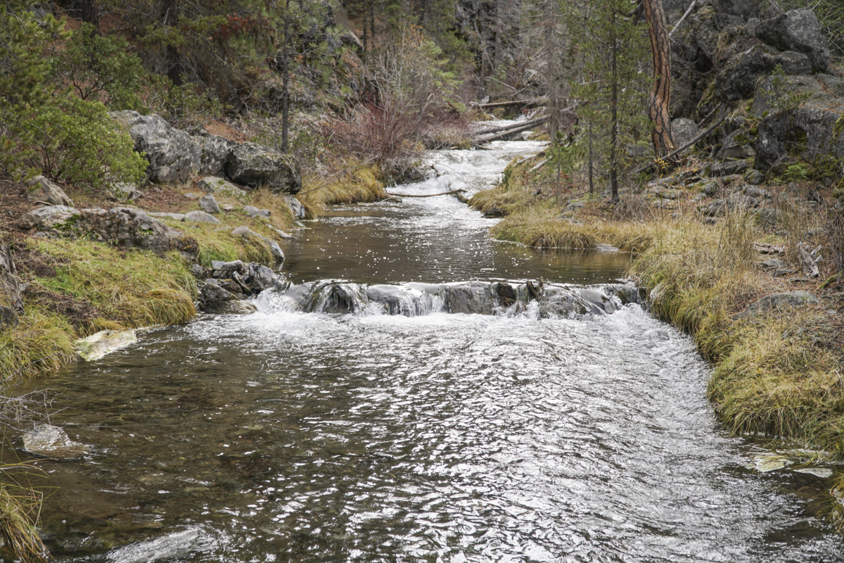 Paulina Falls